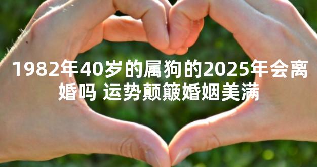 1982年40岁的属狗的2025年会离婚吗 运势颠簸婚姻美满